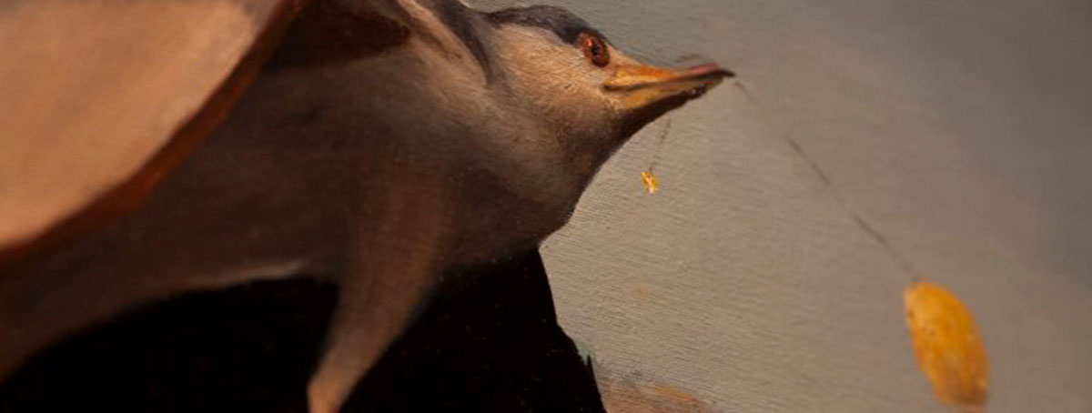 Texto de Roberto Amigo